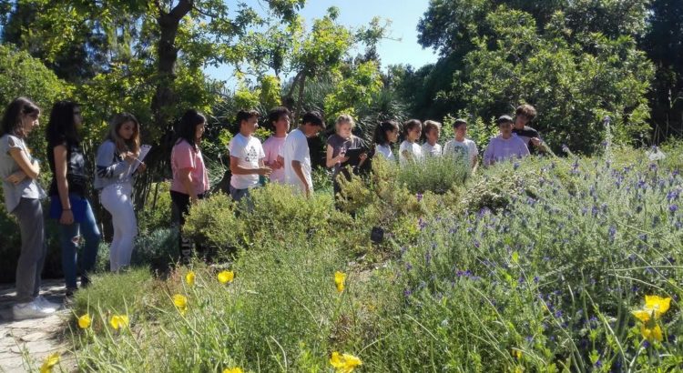 Sortida de 1r ESO al Museu Balear de Ciències Naturals i al Jardí Botànic de Sóller Sortida de 1r ESO al Museu Balear de Ciències Naturals i al Jardí Botànic de Sóller