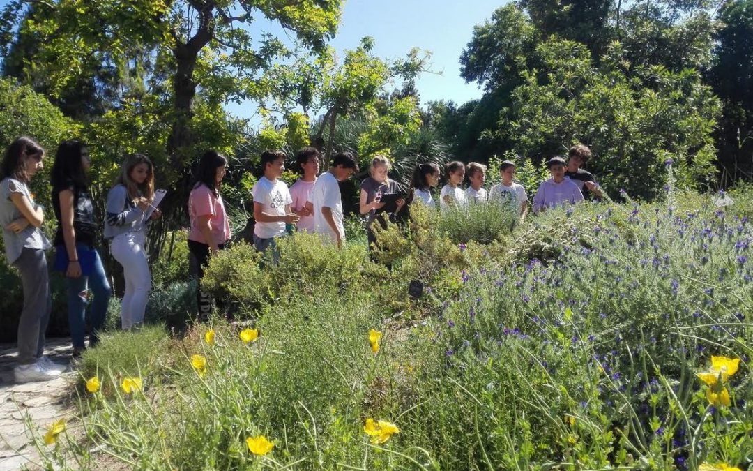 Sortida de 1r ESO al Museu Balear de Ciències Naturals i al Jardí Botànic de Sóller
